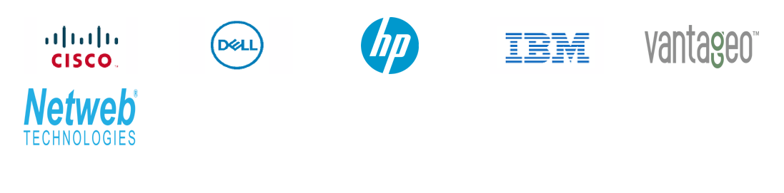 Server & Storage Solutions Partners